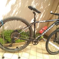 MTB Cannondale Trail 2; taglia M;  29"