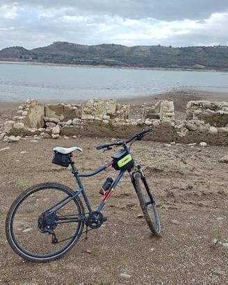 riverside ( bici da trekking) 9velocità