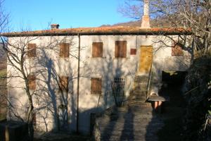 COLONICA IN CASENTINO