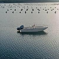 Futurama 500 limited edition