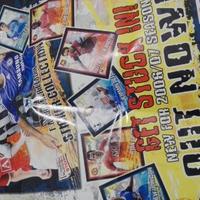 FigurineMerlin's Kick off Premier League 2006 2007