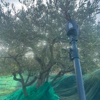 Abbacchiatore infaco