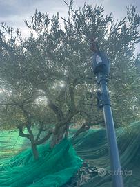 Abbacchiatore infaco