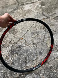 Cerchio DT SWISS FR 1950