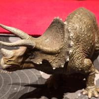 triceratopo 
