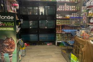 Negozio di mangimi ed accessori per animali