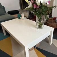 Tavolo da salotto Ikea Trulstorp