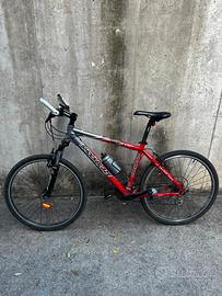 Mountain bike