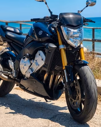Yamaha FZ1 N (Naked)