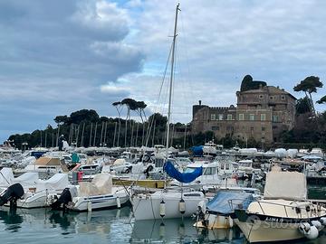 Barca a vela stag 18