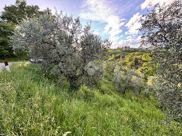 TER. AGRICOLO A PISTOIA