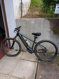 Bici Specialized Turbo-tero