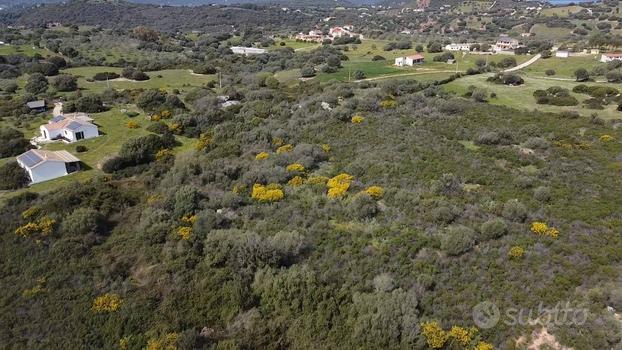 Terreno - Golfo Aranci