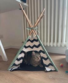 Tenda per gatti indiana - cuccia