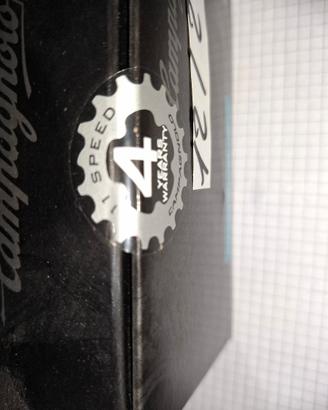 casetta pignoni  nuovi ,campagnolo 11vel chorus .