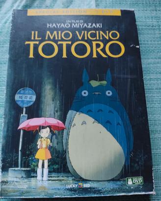 DVD  il mio vicino Totoro di Miyazaki 