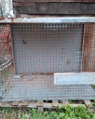 Black Friday gabbia per Animali