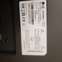 Tv Lg 65 pollici con display rotto