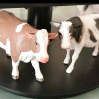 Coppia di mucche per presepe
