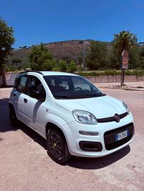 fiat panta 