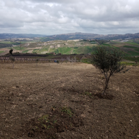 Terreno con rustico di circa 60000 (24 tumoli circ