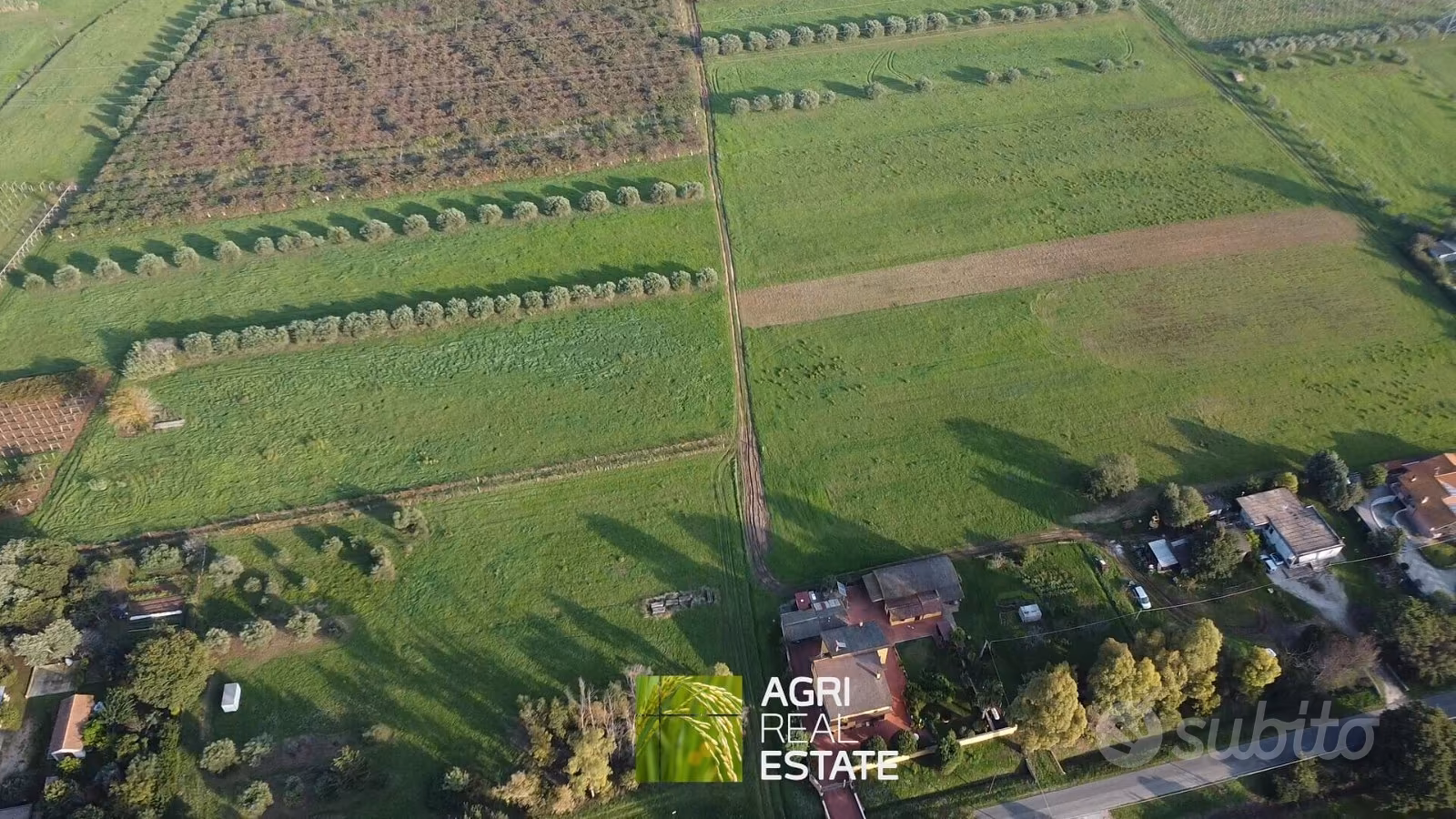 Terreno agricolo 3,5 HA ca. fronte strada | TR344 - Vista 3