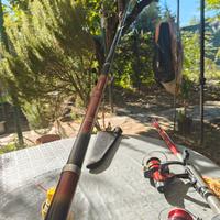 canna cormoran eurocor 