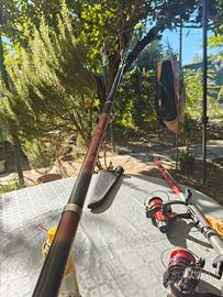 canna cormoran eurocor 