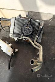 Radiatore COMPLETO Sh 300 dal 2016