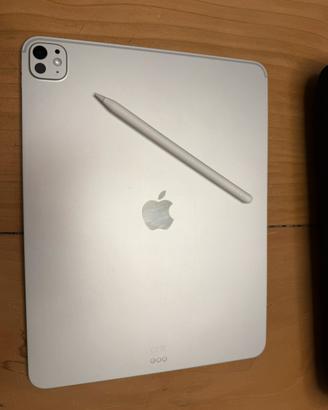 Ipad Pro 13” 512Gb come nuovo