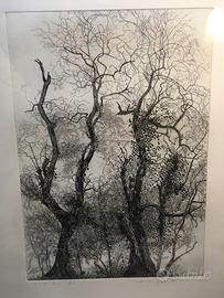 Stampa Federica Galli Due olivi