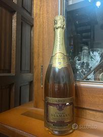 Bottiglia Champagne troullard Cuvee brut 1993