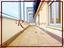 Immagine 9