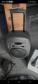 Cassa Amplificata bluetooth Trolly Portatile Ibiza