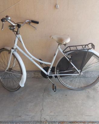Bici donna holland ruota 26
