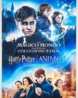 Harry Potter (8 film) + Animali fantastici