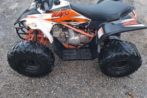 Quad Kayo 110 