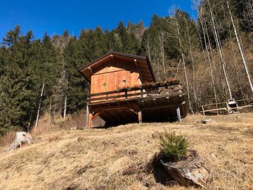 Baita in Cadore