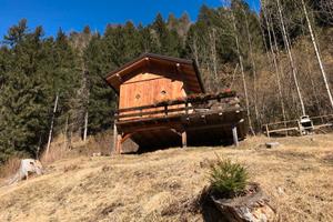 Baita in Cadore
