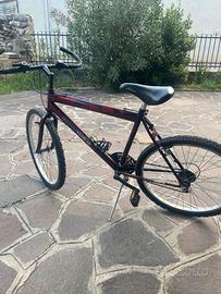 bici 26’