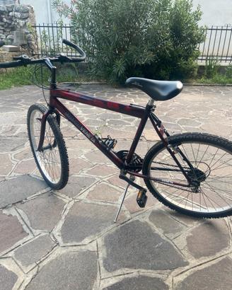 bici 26’
