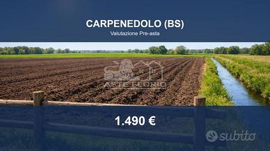 Immobile in asta di 590 m² a Carpenedolo