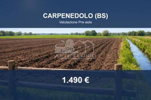 Immobile in asta di 590 m² a Carpenedolo