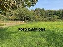 terreno-di-16090-m²-a-sossano
