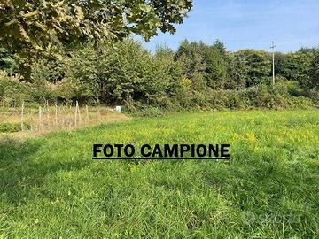 Terreno di 16090 m² a Sossano