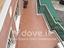 Immagine 22