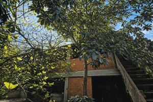 Terralba - indipendente con cortile