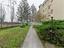 Immagine 23