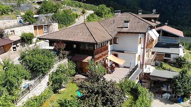 TRENTINO - MASO in VAL DI NON