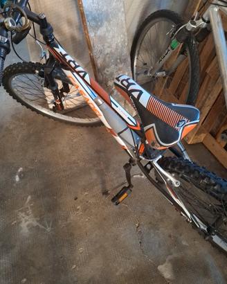 mountain bike 24'